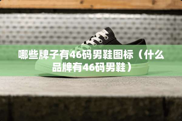 哪些牌子有46码男鞋图标（什么品牌有46码男鞋）