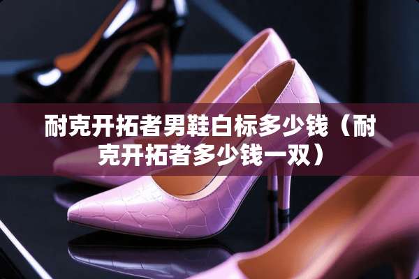 耐克开拓者男鞋白标多少钱（耐克开拓者多少钱一双）
