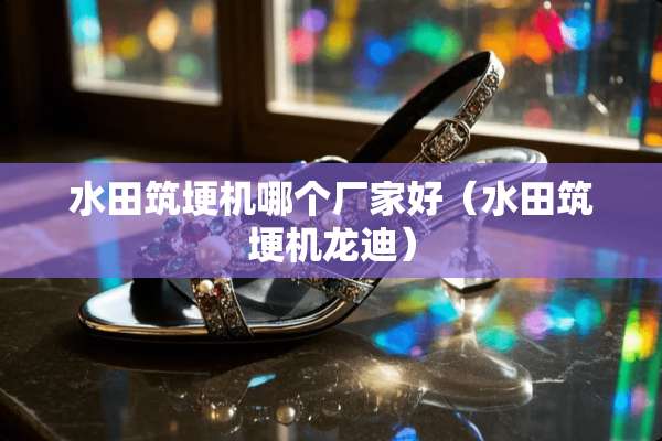 水田筑埂机哪个厂家好（水田筑埂机龙迪）