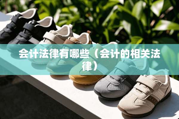 会计法律有哪些（会计的相关法律）