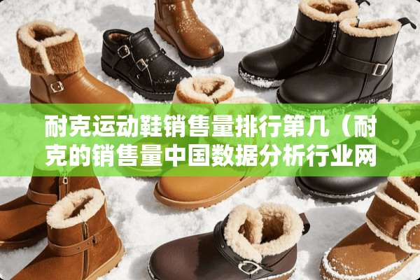 耐克运动鞋销售量排行第几（耐克的销售量中国数据分析行业网）