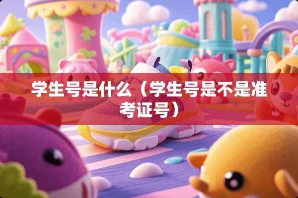 学生号是什么（学生号是不是准考证号）