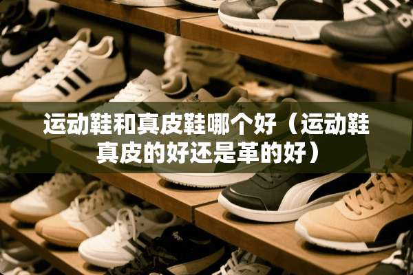 运动鞋和真皮鞋哪个好（运动鞋真皮的好还是革的好）