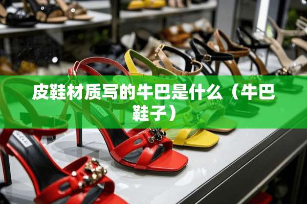 皮鞋材质写的牛巴是什么（牛巴鞋子）