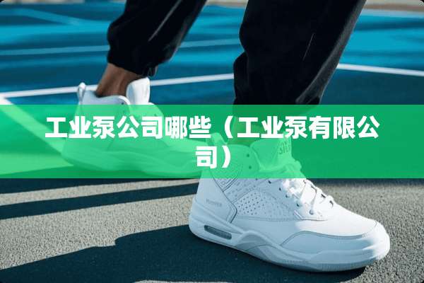 工业泵公司哪些（工业泵有限公司）