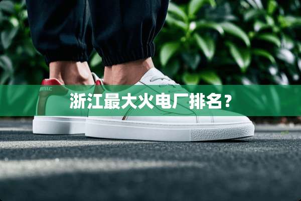 浙江最大火电厂排名？
