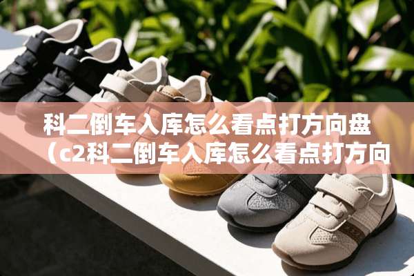 科二倒车入库怎么看点打方向盘（c2科二倒车入库怎么看点打方向盘）