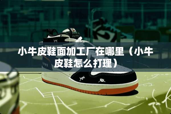 小牛皮鞋面加工厂在哪里（小牛皮鞋怎么打理）