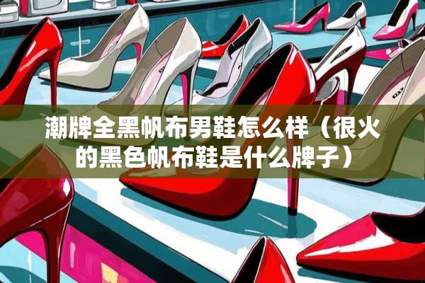 潮牌全黑帆布男鞋怎么样（很火的黑色帆布鞋是什么牌子）