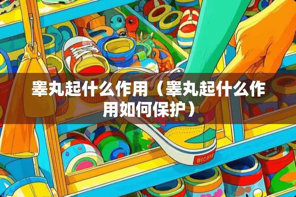 **起什么作用（**起什么作用如何保护）