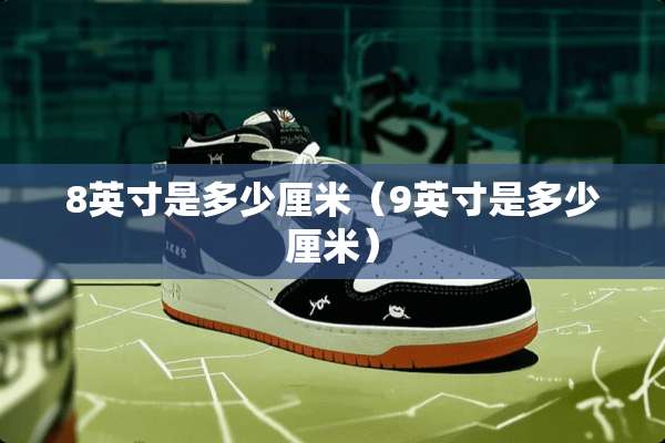 8英寸是多少厘米（9英寸是多少厘米）