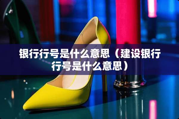 银行行号是什么意思（建设银行行号是什么意思）