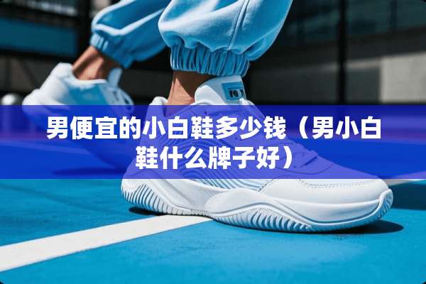 男便宜的小白鞋多少钱（男小白鞋什么牌子好）