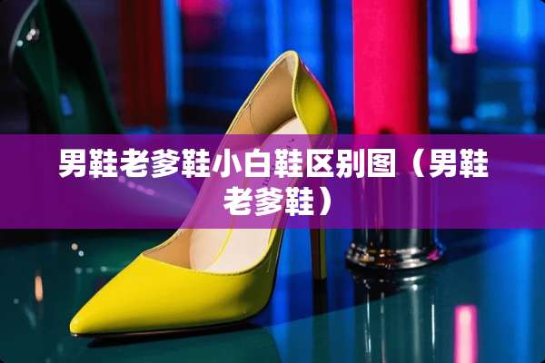 男鞋老爹鞋小白鞋区别图（男鞋 老爹鞋）