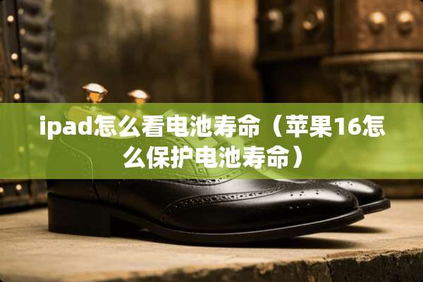 ipad怎么看电池寿命（苹果16怎么保护电池寿命）