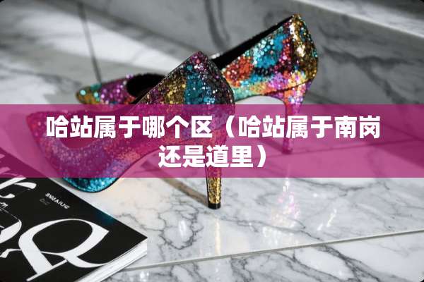 哈站属于哪个区（哈站属于南岗还是道里）