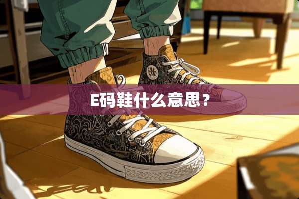 E码鞋什么意思？