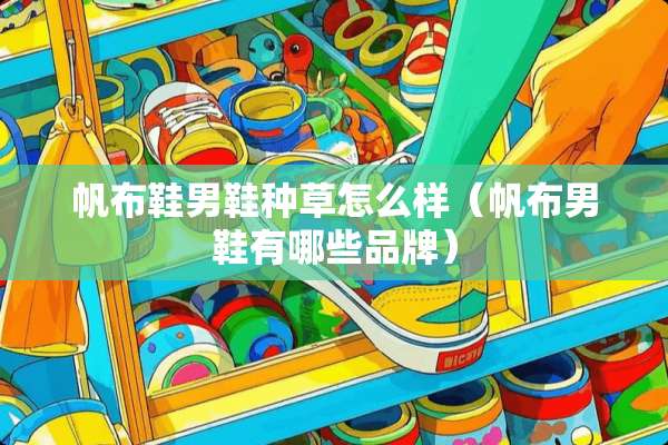帆布鞋男鞋种草怎么样（帆布男鞋有哪些品牌）