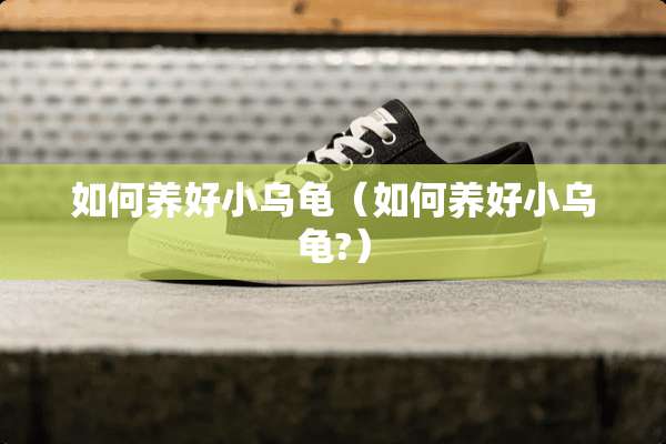 如何养好小乌龟（如何养好小乌龟?）