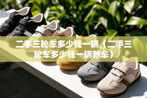 二手三轮车多少钱一辆（二手三轮车多少钱一辆新车）