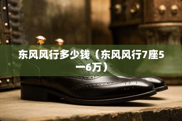 东风风行多少钱（东风风行7座5一6万）
