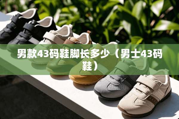 男款43码鞋脚长多少（男士43码鞋）