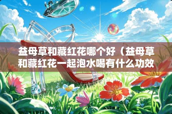 益母草和藏红花哪个好（益母草和藏红花一起泡水喝有什么功效）
