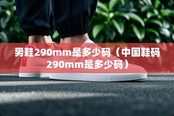 男鞋290mm是多少码（中国鞋码290mm是多少码）