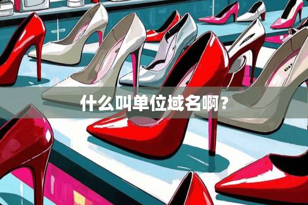 什么叫单位域名啊？