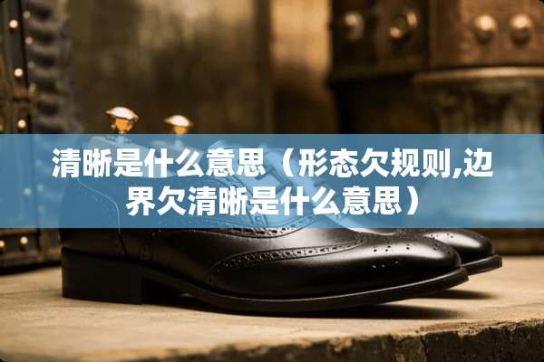 清晰是什么意思（形态欠规则,边界欠清晰是什么意思）