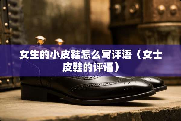 女生的小皮鞋怎么写评语（女士皮鞋的评语）