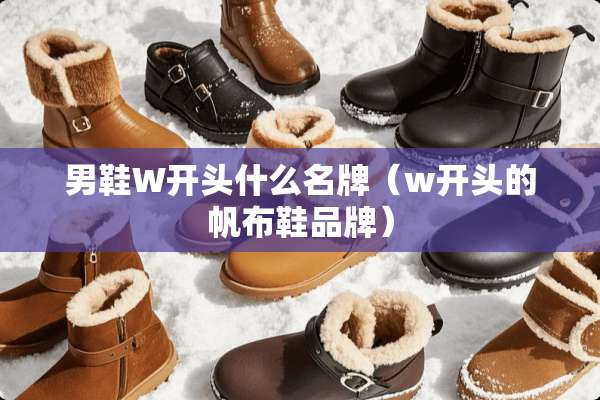 男鞋W开头什么名牌(w开头的帆布鞋品牌) 男鞋W开头什么名牌(w开头的帆布鞋品牌)