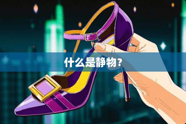 什么是静物？