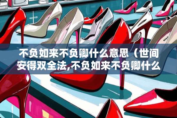 不负如来不负卿什么意思（世间安得双全法,不负如来不负卿什么意思）