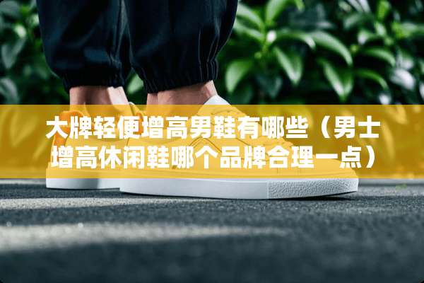 大牌轻便增高男鞋有哪些(男士增高休闲鞋哪个品牌合理一点) 大牌轻便增高男鞋有哪些(男士增高休闲鞋哪个品牌合理一点)