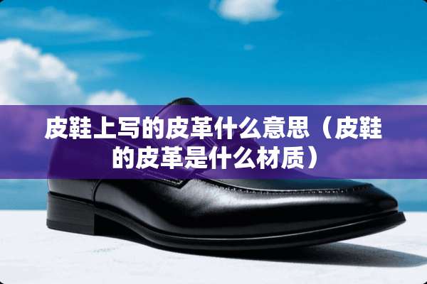 皮鞋上写的皮革什么意思(皮鞋的皮革是什么材质) 皮鞋上写的皮革什么意思(皮鞋的皮革是什么材质)
