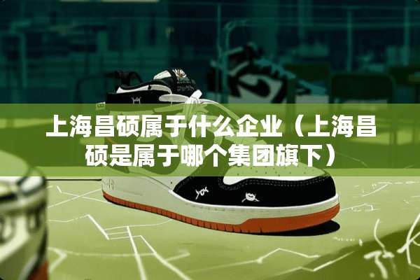 上海昌硕属于什么企业（上海昌硕是属于哪个集团旗下）