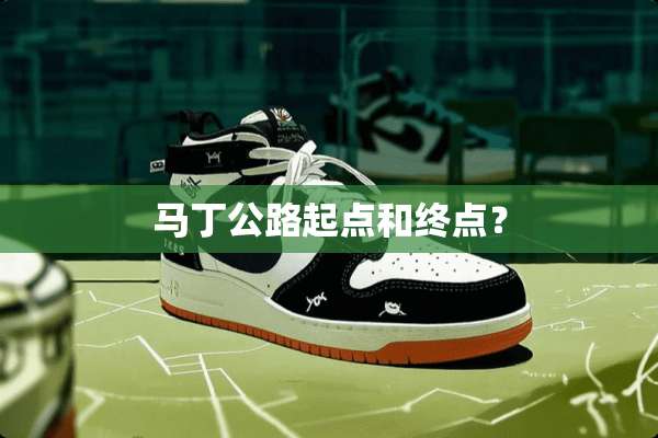 马丁公路起点和终点？