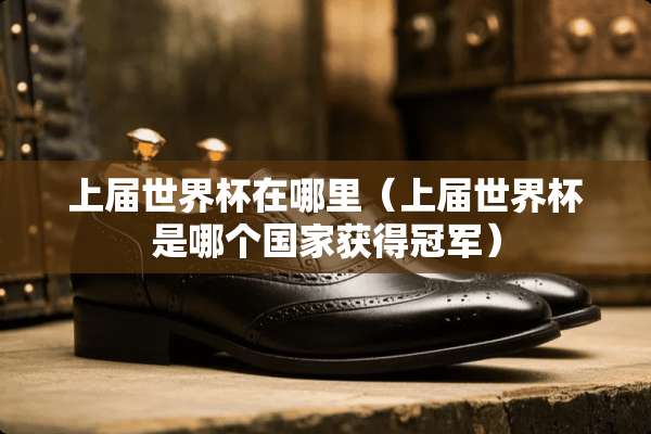 上届世界杯在哪里（上届世界杯是哪个国家获得冠军）