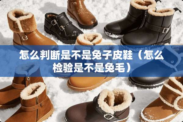 怎么判断是不是兔子皮鞋(怎么检验是不是兔毛) 怎么判断是不是兔子皮鞋(怎么检验是不是兔毛)