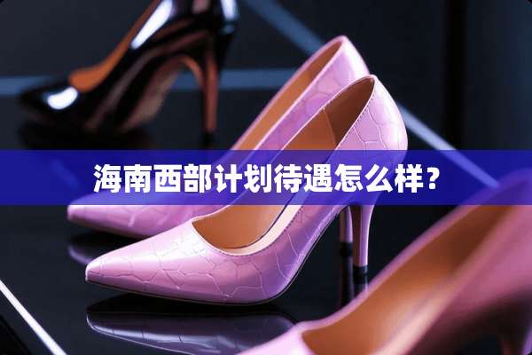 海南西部计划待遇怎么样？