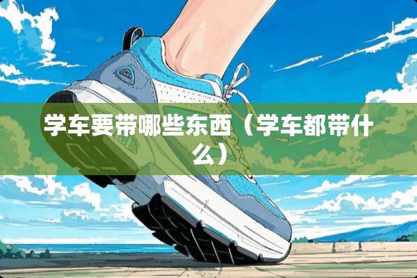 学车要带哪些东西（学车都带什么）