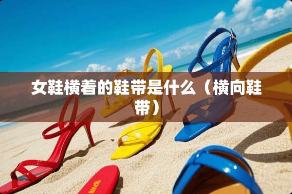 女鞋横着的鞋带是什么(横向鞋带) 女鞋横着的鞋带是什么(横向鞋带)