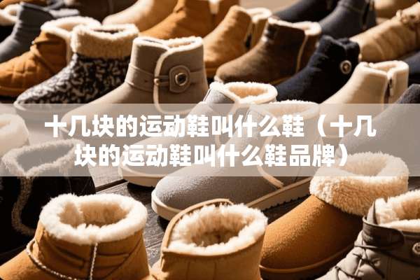 十几块的运动鞋叫什么鞋（十几块的运动鞋叫什么鞋品牌）