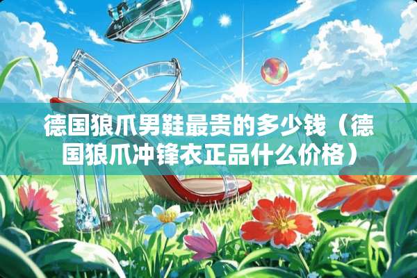 德国狼爪男鞋最贵的多少钱（德国狼爪冲锋衣正品什么价格）