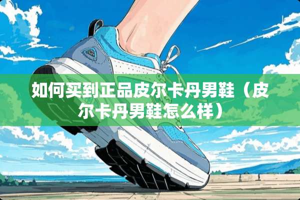 如何买到正品皮尔卡丹男鞋(皮尔卡丹男鞋怎么样) 如何买到正品皮尔卡丹男鞋(皮尔卡丹男鞋怎么样)