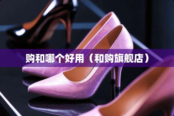 购和哪个好用(和购旗舰店) 购和哪个好用(和购旗舰店)