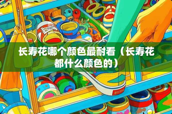 长寿花哪个颜色最耐看(长寿花都什么颜色的) 长寿花哪个颜色最耐看(长寿花都什么颜色的)