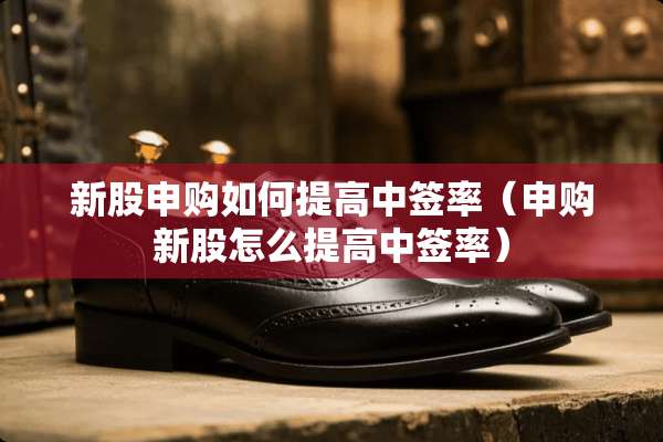 新股申购如何提高中签率(申购新股怎么提高中签率) 新股申购如何提高中签率(申购新股怎么提高中签率)