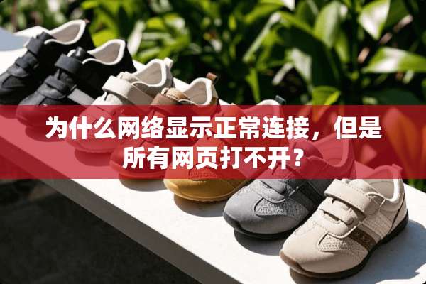 为什么网络显示正常连接，但是所有网页打不开？